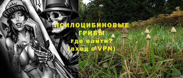 PSILOCYBIN Навашино