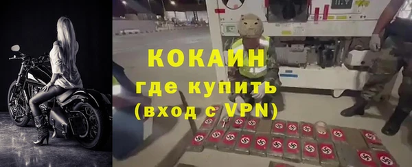 PSILOCYBIN Навашино