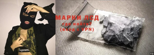 PSILOCYBIN Навашино