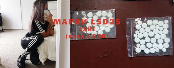 PSILOCYBIN Навашино