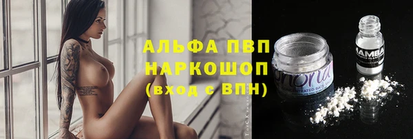 PSILOCYBIN Навашино