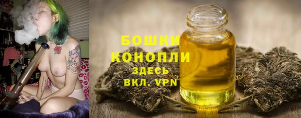 мдпв Надым