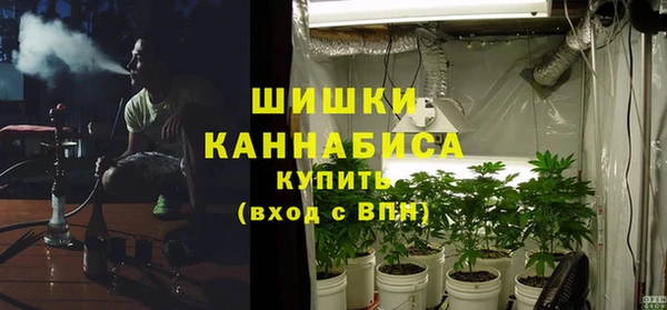 мдпв Надым