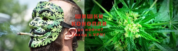PSILOCYBIN Навашино