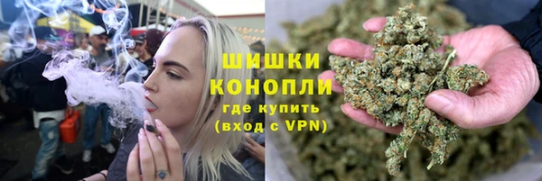 мдпв Надым