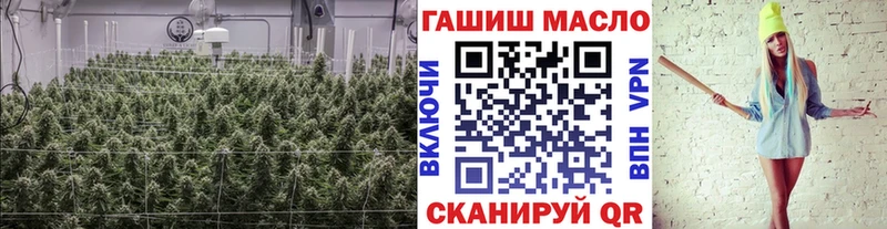 ТГК THC oil  Купить  Динская 